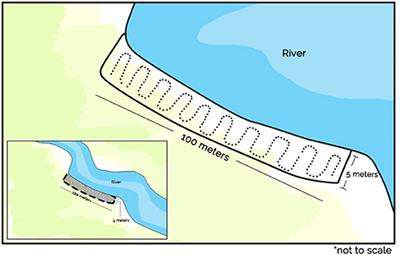 Adapting Coastal Collection Methods for River Assessment to Increase Data on Global Plastic Pollution: Examples From India and Indonesia